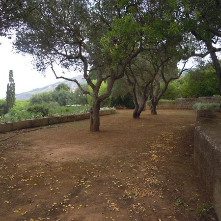 Appartamento In Villa Fortunata Terra Marina Serra Exterior foto